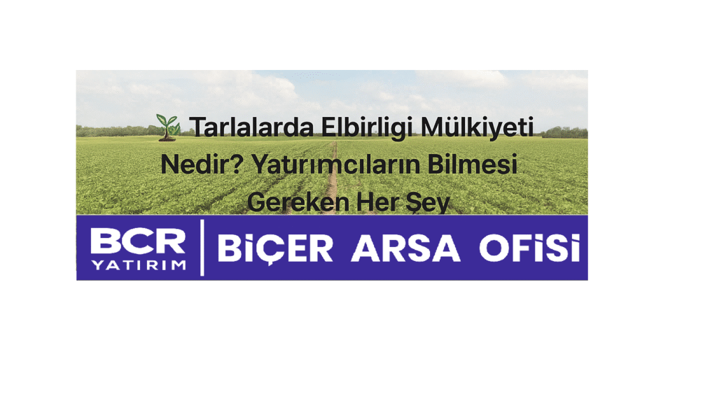 Tarlalarda Elbirliği Mülkiyeti Nedir? Tarla yatırımı hakkında bilgi veren grafik - BCR Yatırım | Biçer Arsa Ofisi