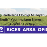 Tarlalarda Elbirliği Mülkiyeti Nedir? Tarla yatırımı hakkında bilgi veren grafik - BCR Yatırım | Biçer Arsa Ofisi