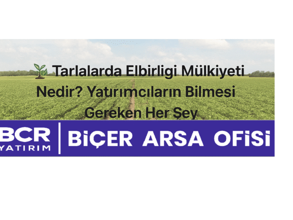 Tarlalarda Elbirliği Mülkiyeti Nedir? Tarla yatırımı hakkında bilgi veren grafik - BCR Yatırım | Biçer Arsa Ofisi