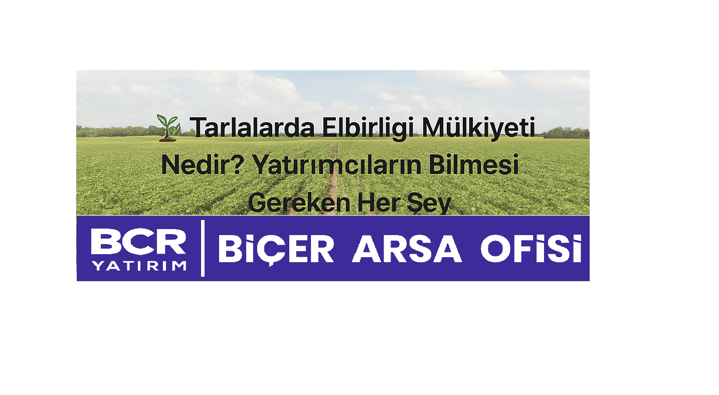 Tarlalarda Elbirliği Mülkiyeti Nedir? Tarla yatırımı hakkında bilgi veren grafik - BCR Yatırım | Biçer Arsa Ofisi