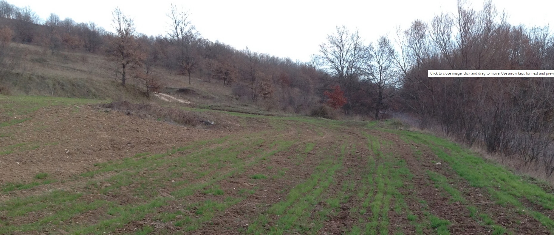 Yalova Altınova Satılık Arsa - Yalova, Altınova