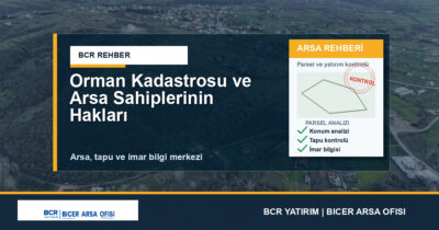 Orman Kadastrosu ve Arsa Sahiplerinin Hakları