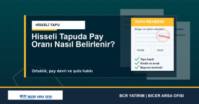 Hisseli Tapuda Pay Oranı Nasıl Belirlenir?